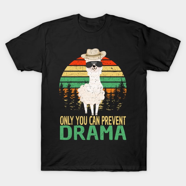 Only You Can Prevent Drama T-Shirt by jodesigners